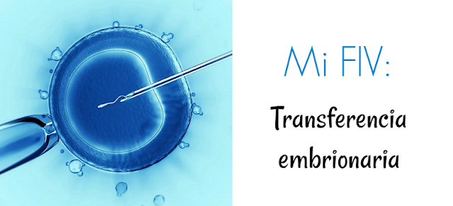 Mi FIV: Transferencia embrionaria