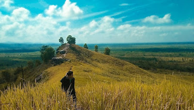 Adakah gunung berapi di Kalimantan Barat, rekomendasi bukit kalbar untuk pendakian, daerah yg menyajikan keindahan di atas awan, hijaunya hutan tropis borneo
