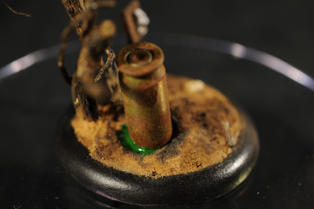 [Image: _DSC3686.JPG]