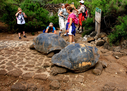 Quần đảo Galapagos - Ecuador đối mặt không ít nguy cơ từ hoạt động du lịchẢnh: Galapagosislands.com