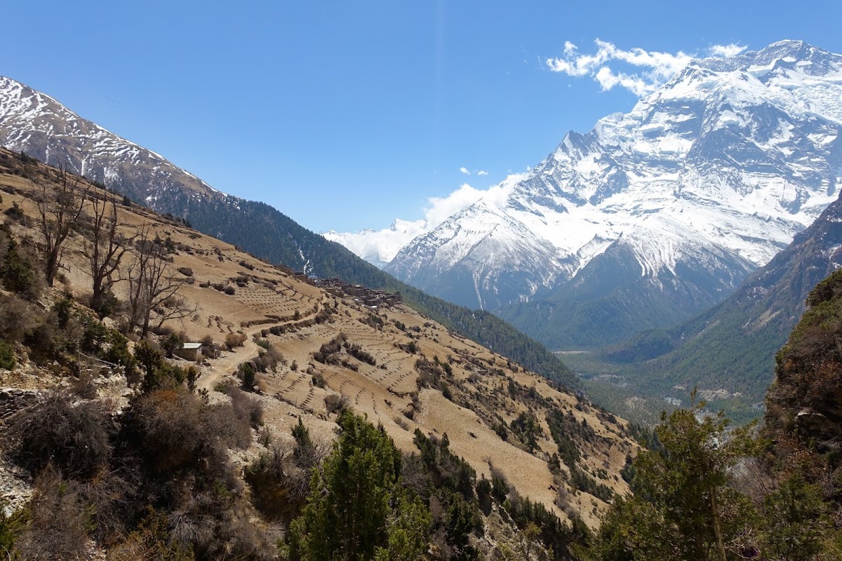 200км по красно-белым черточкам.. Around Annapurna. март-апрель 2017