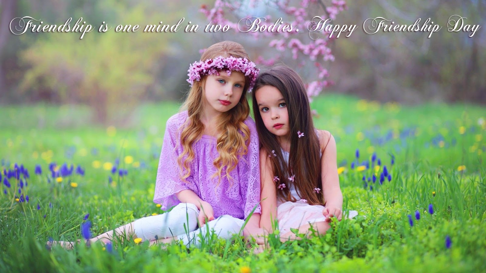 Beautiful-Friendship-Day-HD-Images-Wallpapers-Free-Download