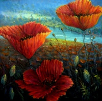  Red Poppies