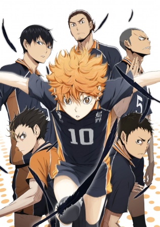 Haikyuu!! Los Ases del Vóley |25/25| |Temporada 2| |Castellano| |Mega| Haikyuu!! Los Ases del Vóley |25/25| |Temporada 2| |Castellano| |Mega|