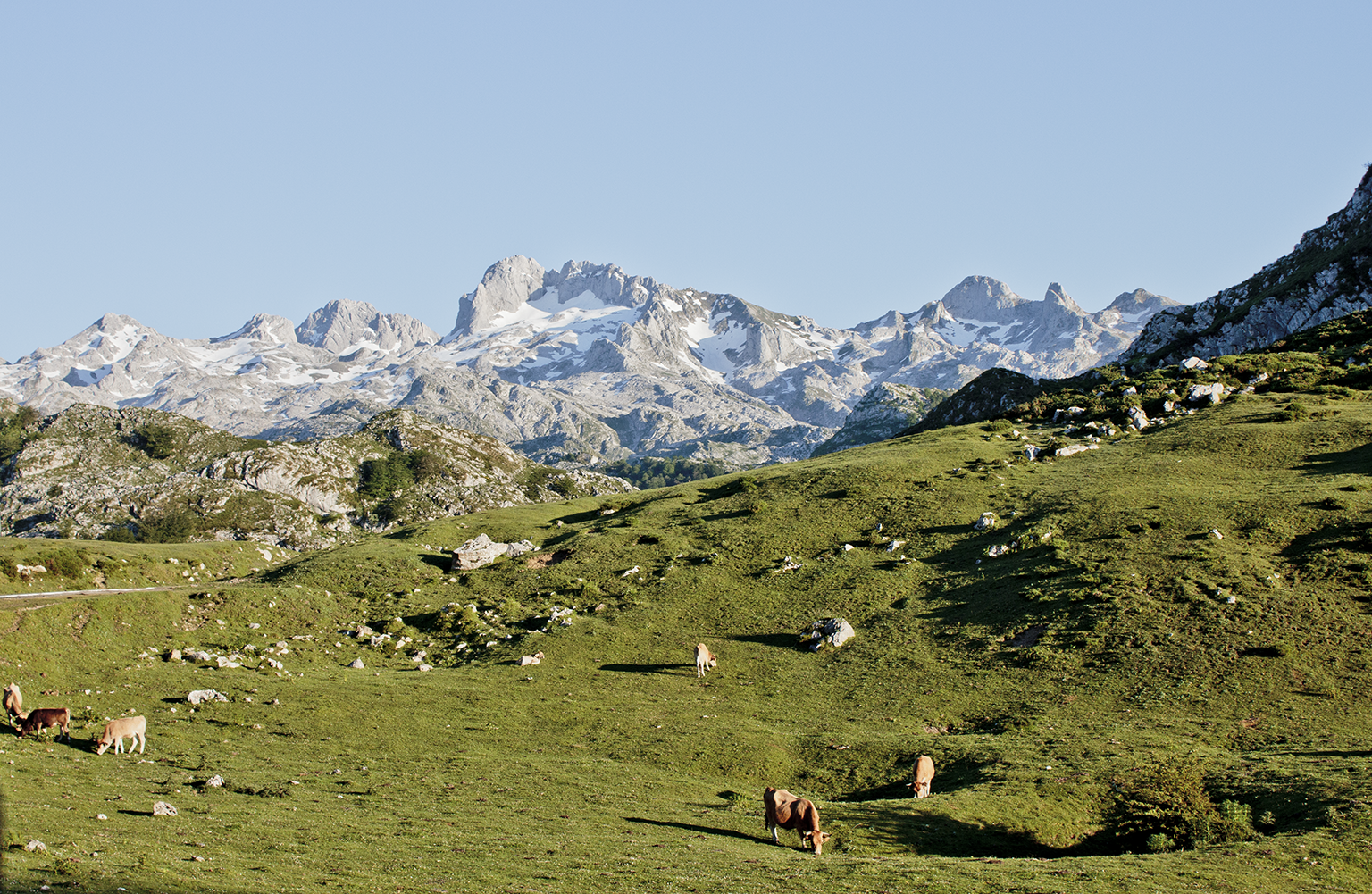Picos de Europa Picos de Europa