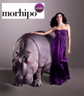 morhipo siparis iptali hesap silme