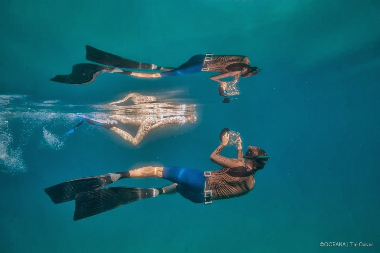 Celebs Galaxy: Miranda Cosgrove - Nadando con Delfines en Bahamas