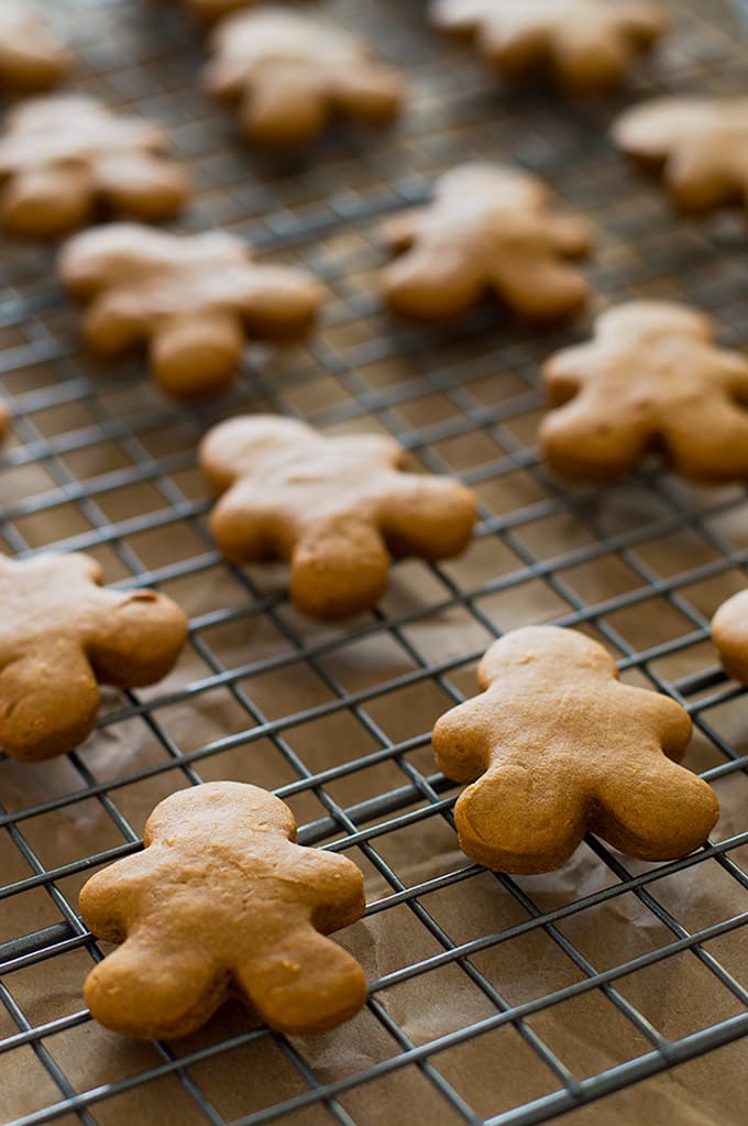 These easy diy dog cookies are the perfect holiday treat for your pup Dog Treat Recipes: Five Christmas Cookie Recipes For Dogs! | The Pets