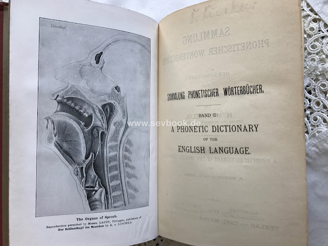 A PHONETIC DICTIONARY OF THE ENGLISH LANGUAGE MICHAELIS 1913