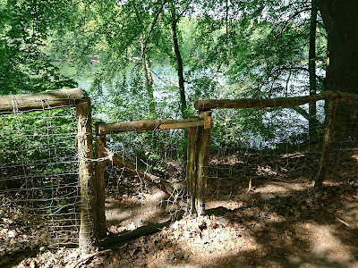 Mit Fahrradschloss gesichertes Tor im Zaun um die Krumme Lanke herum.