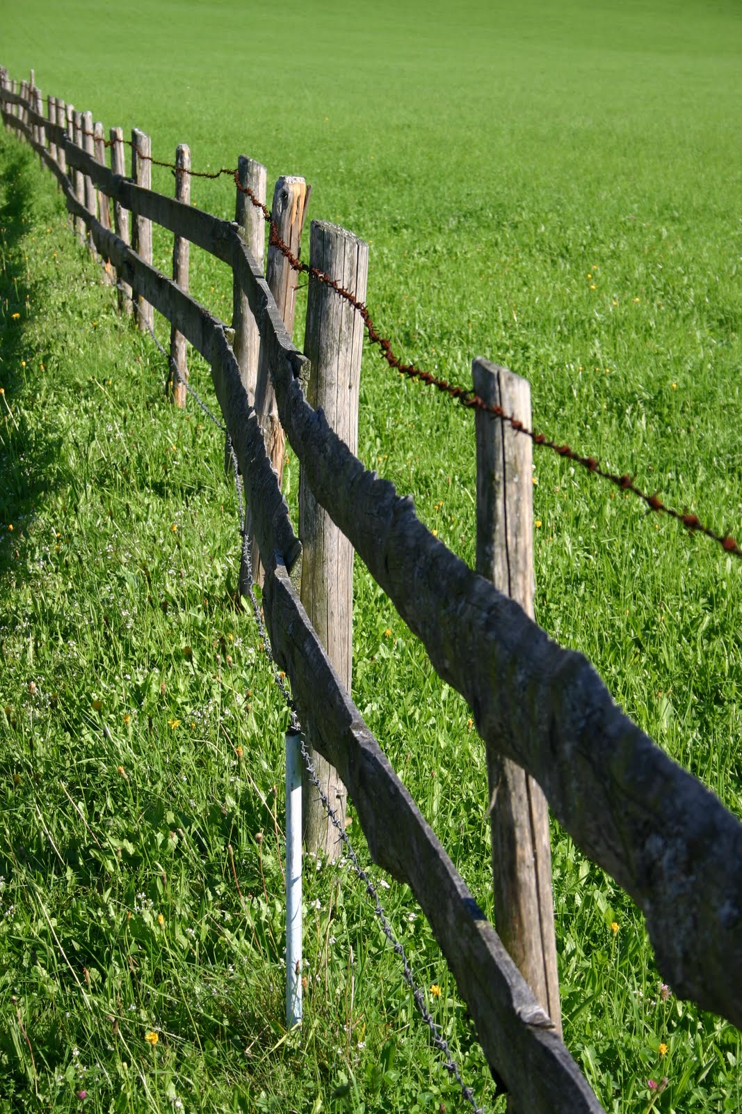 Total Patient Service Tips and Talk Which side of the fence?