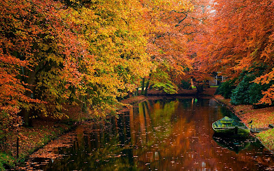 Paisaje con árboles en otoño junto al canal (1920x1200)