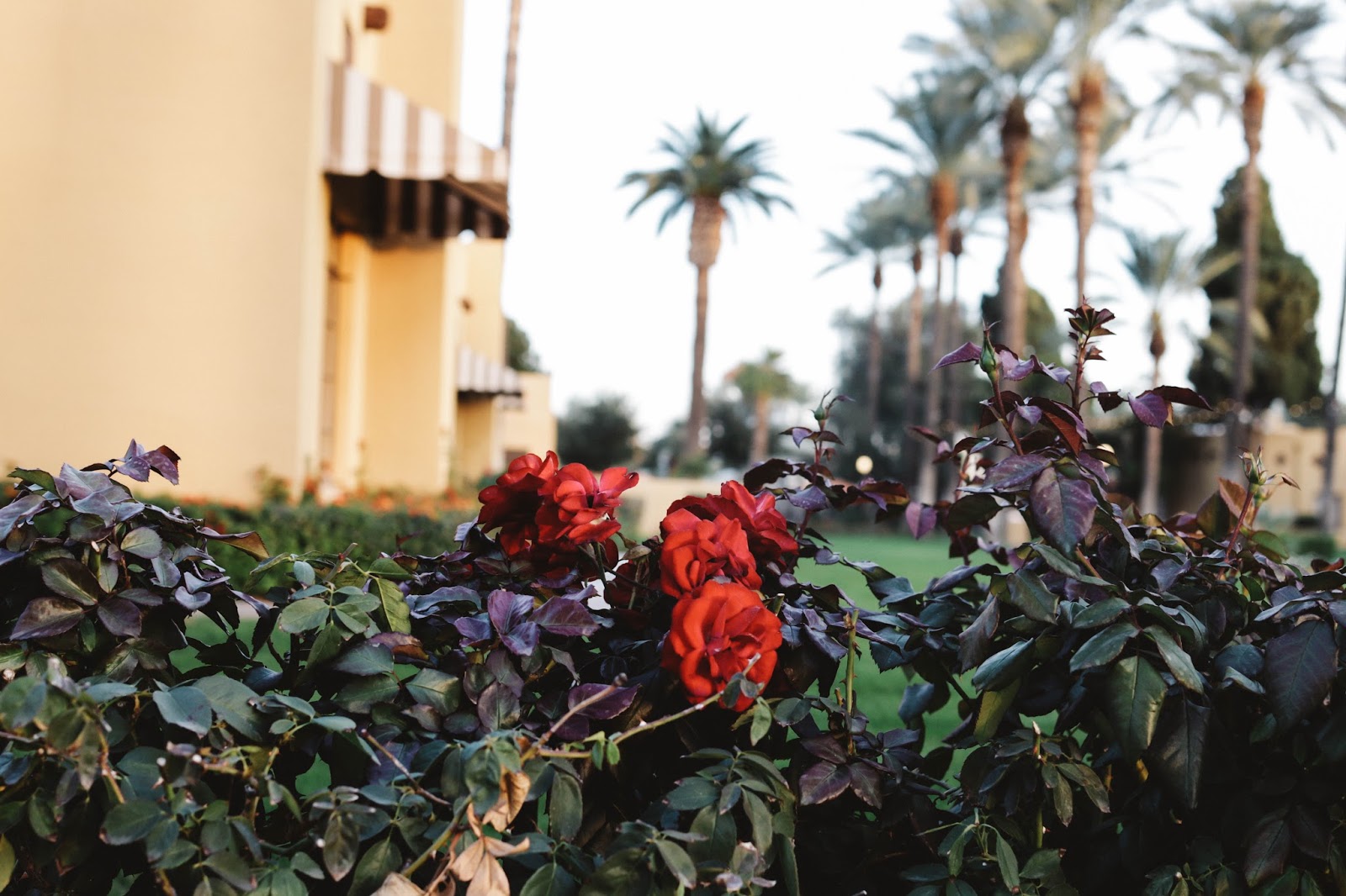 Phoenix Arizona Day Four Five The Fashionably Broke