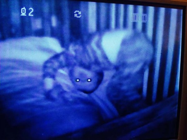 11 Gambar Keadaan Pelik Baby Di Bilik Tidur Mereka Akan Buat IbuBapa Meremang Bulu Roma 11 Gambar Keadaan Pelik Baby Di Bilik Tidur Mereka Akan Buat IbuBapa Meremang Bulu Roma