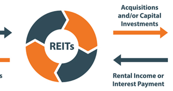 Indias first reit ipo