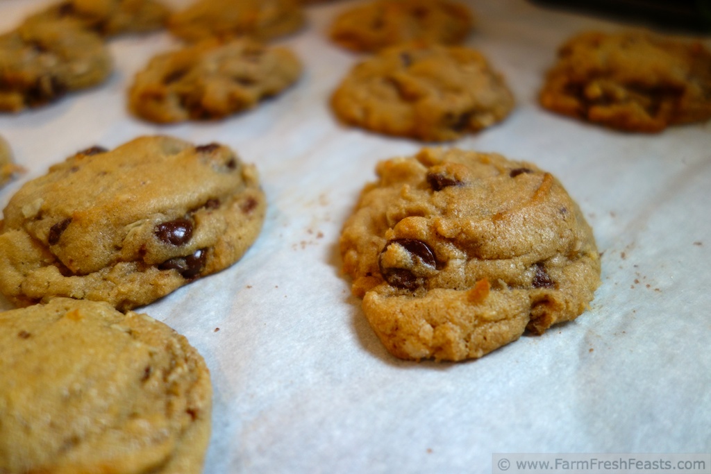 Farm Fresh Feasts Chocolate Chip Cookies with Sunflower Seeds and