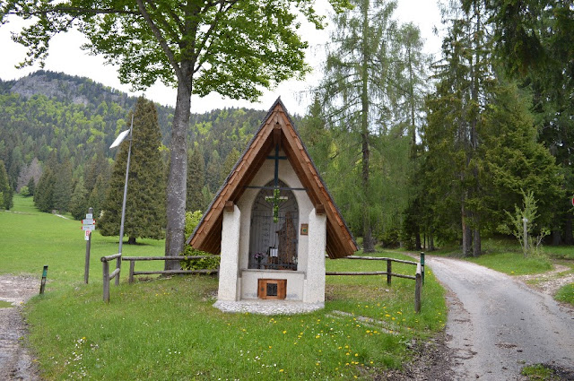 escursioni trekking san vito di cadore