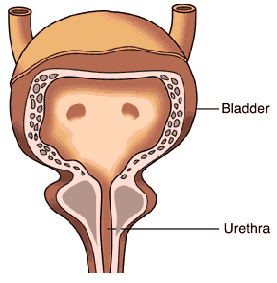 bladder nursing cystitis says things health problems management plan care