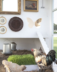 chicken coop coops waterer neiman marcus dollar chic fantasy 100k throw think would