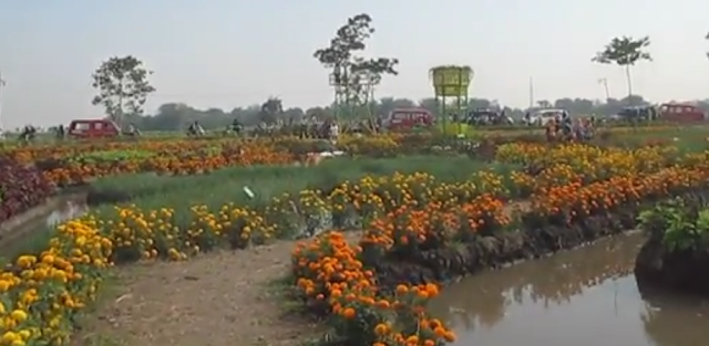 Taman Ponggok Banjarsari Jombang Jawa Timur taman ponggok jombang, jawa timur, tiket masuk taman ponggok jombang, harga tiket masuk taman ponggok jombang, lokasi taman ponggok jombang, htm taman ponggok jombang, taman ponggok jombang tiket masuk, taman ponggok jombang harga tiket, taman keplaksari jombang, alamat taman ponggok jombang, wisata jombang, rumah hobbit jombang, lokasi taman ponggok perak jombang, tiket masuk taman ponggok jombang 2020, harga tiket masuk taman ponggok jombang 2020