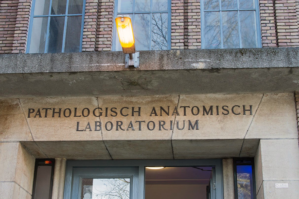 pathological anatomic lab