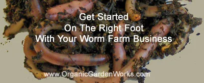 Get Started Worm Farming On The Right Foot