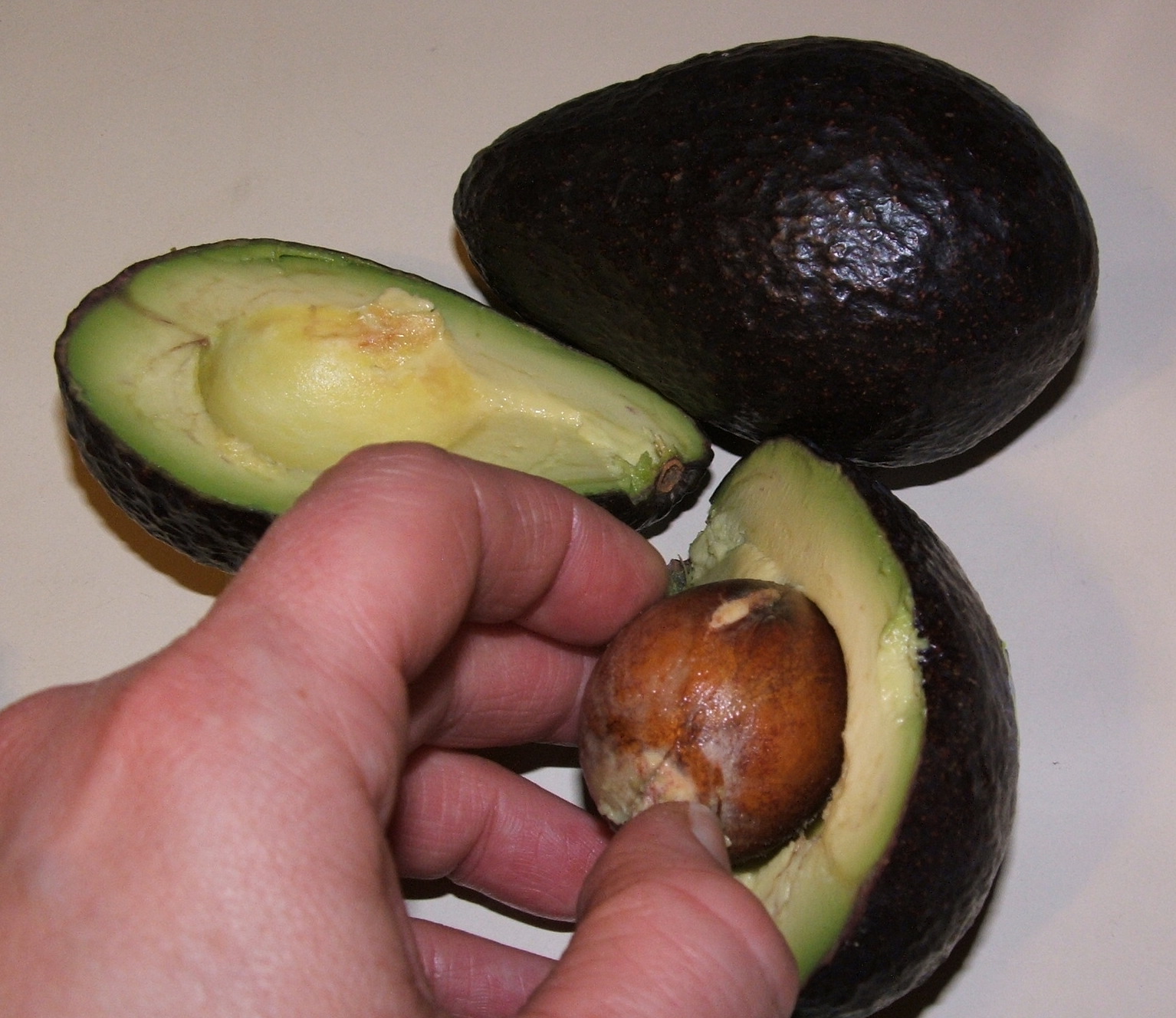God's Growing Garden The Basics How to Cut an Avocado