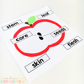 We love reading and learning about apples in our kindergarten classroom, but planning meaningful comprehension activities can be a challenge. This Apple: Read & Respond pack made it super easy to teach 5 comprehension skills for 5 of our favorite picture books. Students especially love the themed crafts and writing prompts too!