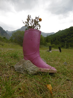 botte de 7 fleurs, malooka