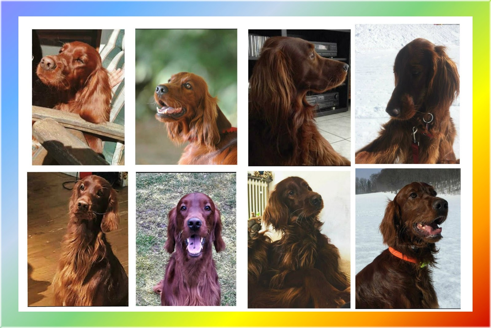 My Best Friends Mes Irlandaises Joyeux Anniversaire