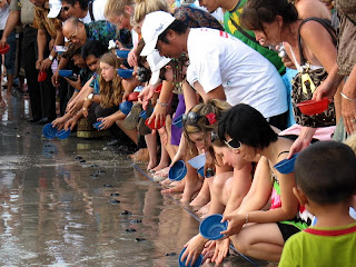 Releasing Baby Turtles at Kuta Beach