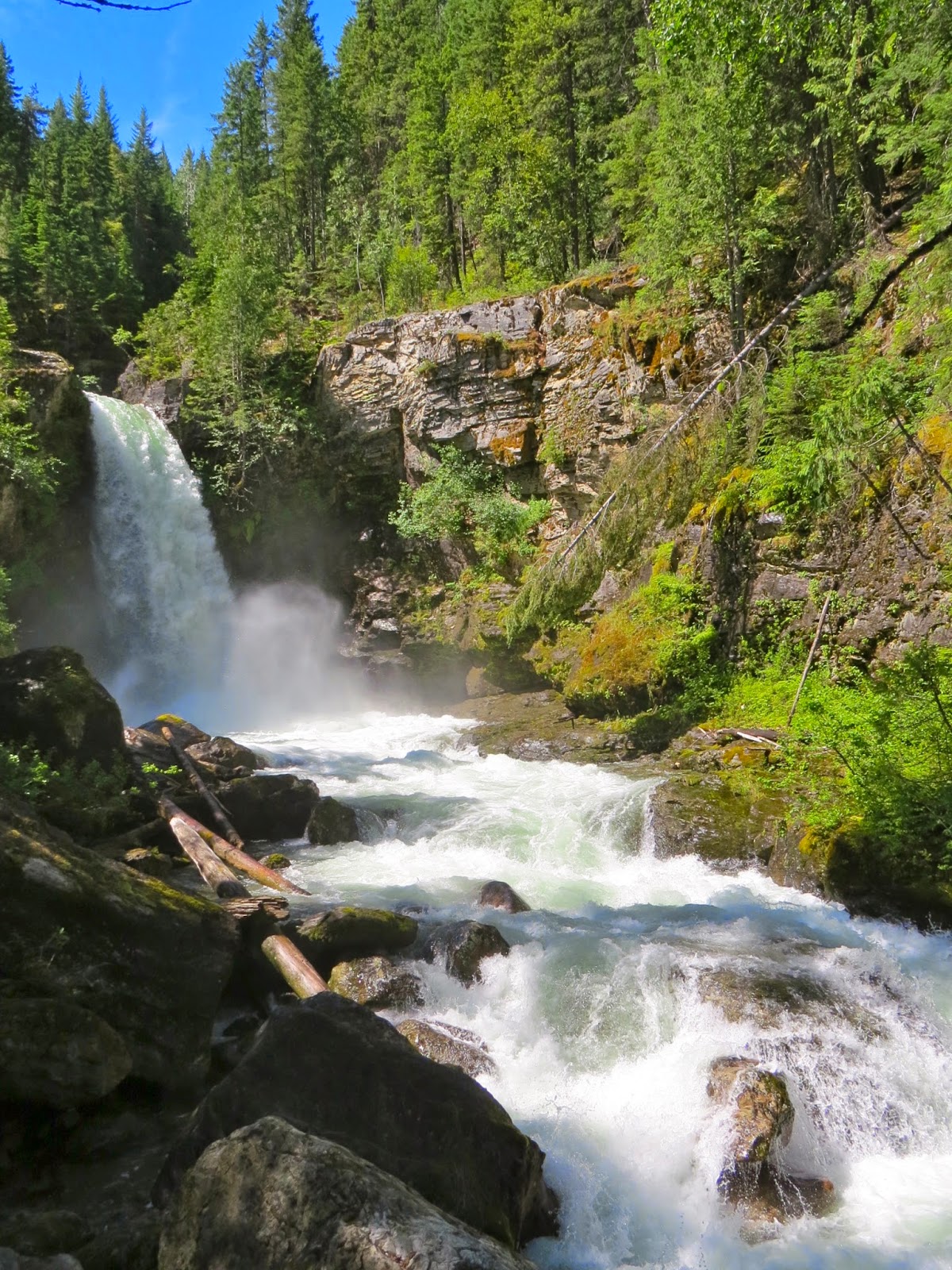 PICKING POSIES BLANKET CREEK PROVINCIAL PARK