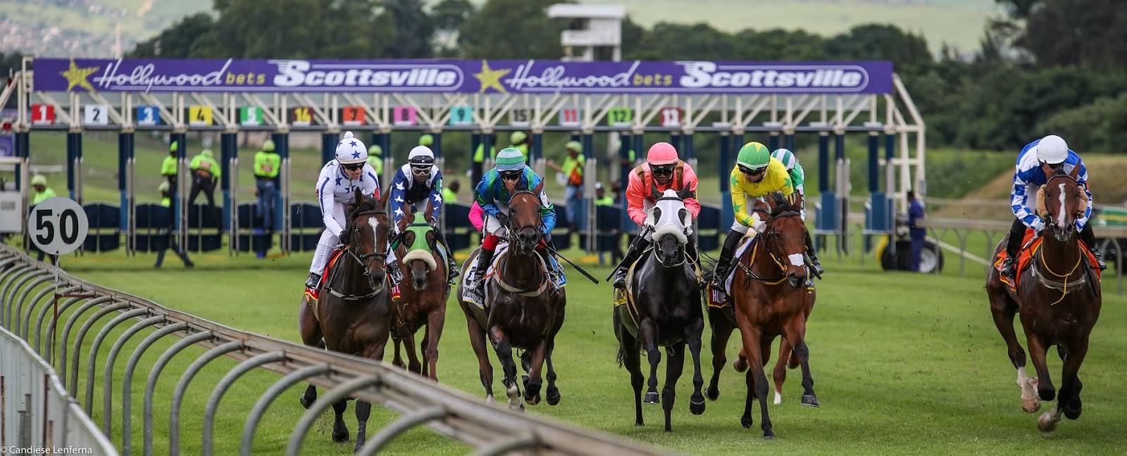 Hollywoodbets Scottsville Horse racing at Hollywoodbets Scottsville - Starting Gates