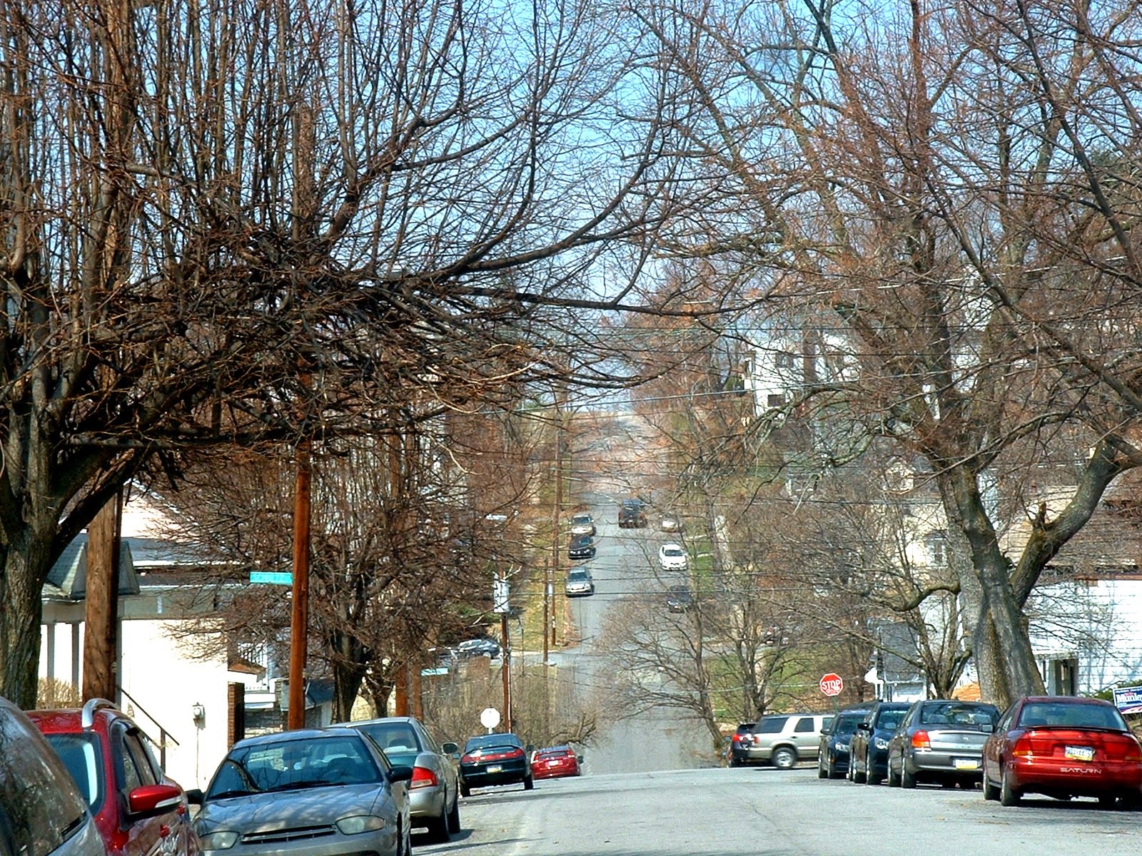 Frank's Place Olive Street