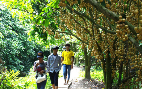 Nhung vuon dau bon bon triu qua 'hai ra tien' - Anh 3