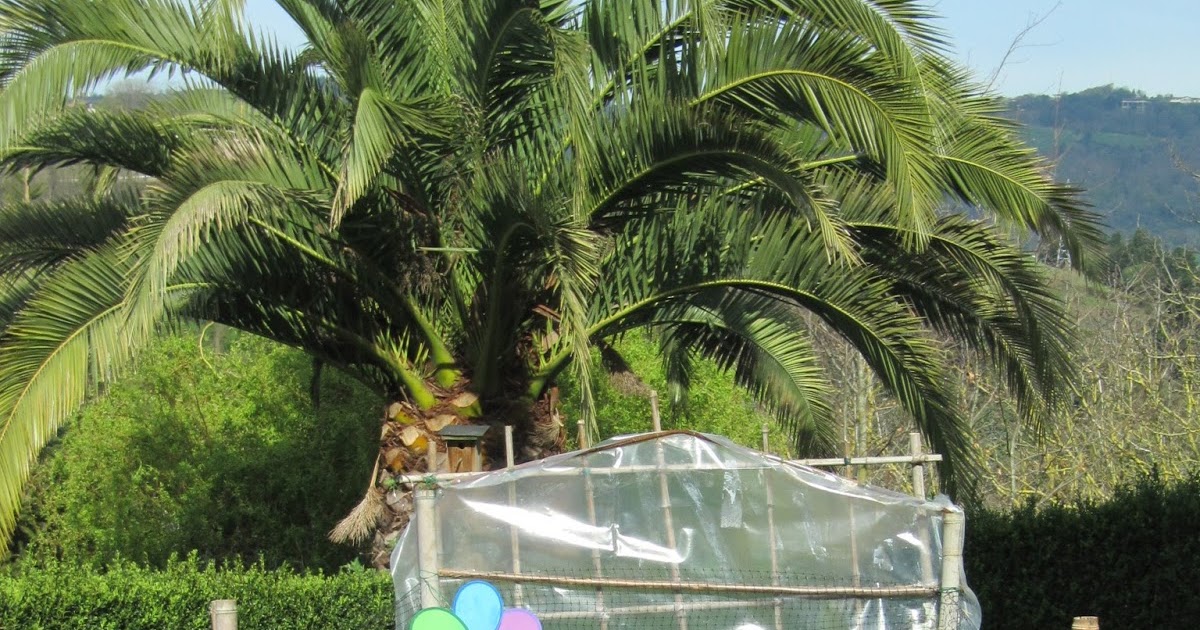 KONTXESI: EL HUERTO EN INVIERNO