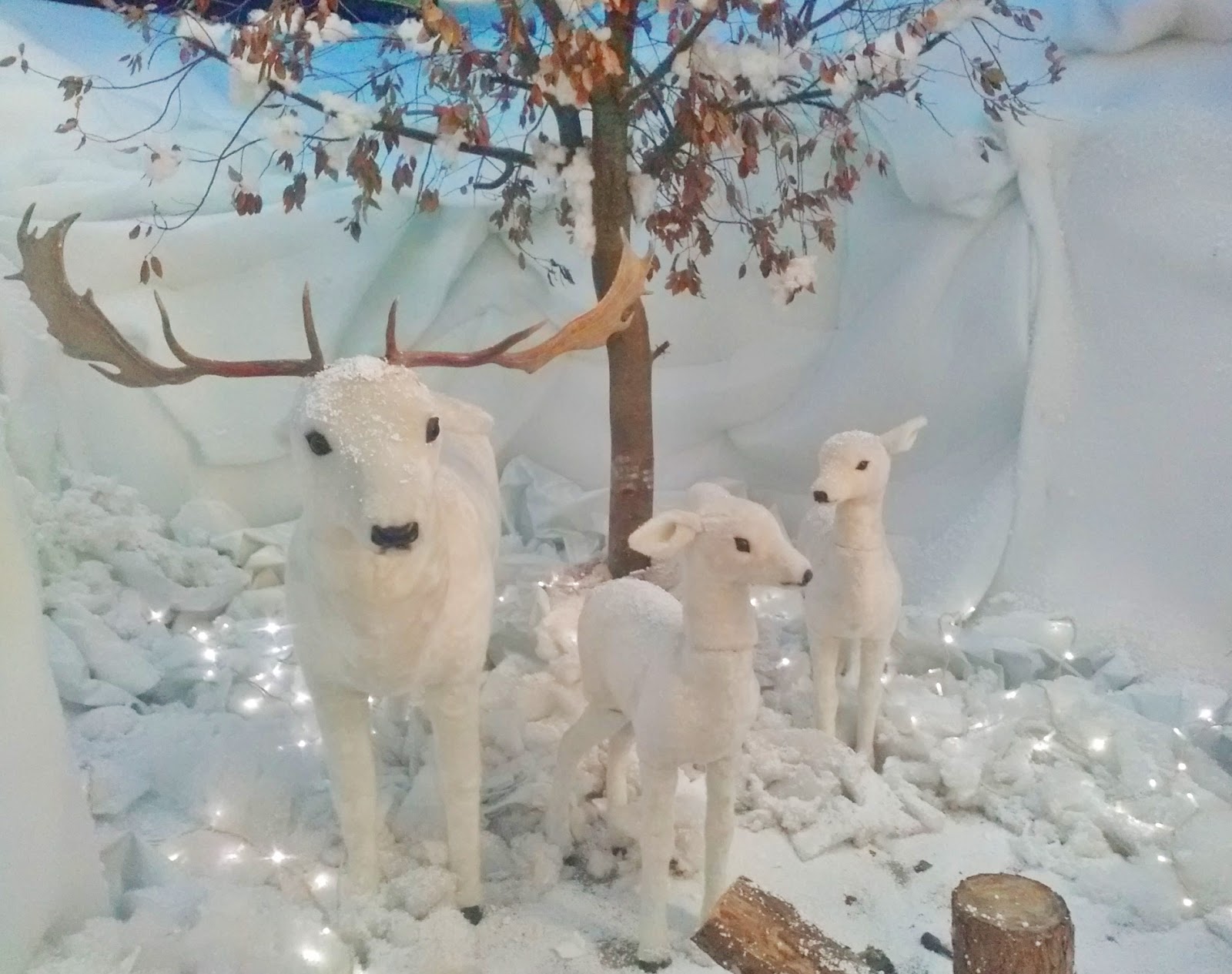 UCCIO CULT Dicembre 2016