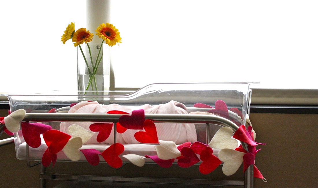 baby bassinet baby bunting