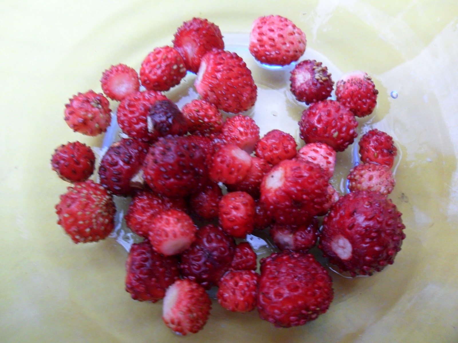 Sommerflower: Mini Erdbeeren (mhh)