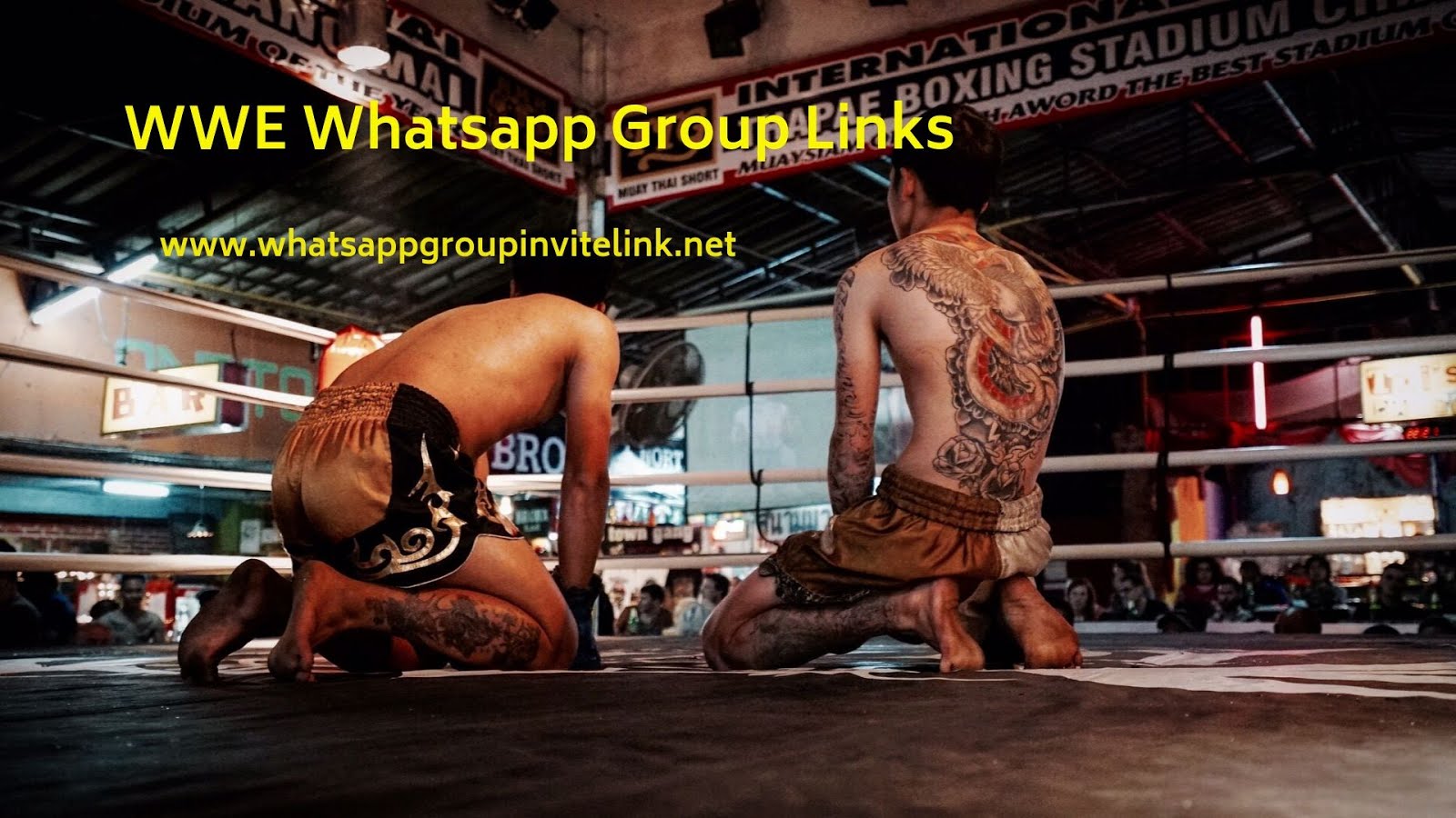 WWE Whatsapp Group Links
