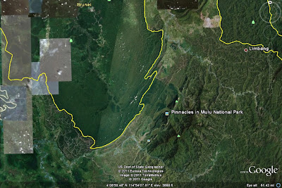 hutansarawak4.jpg