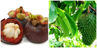 Penyebab, Akibat dan Pengobatan Benjolan di Punggung Penyebab, Akibat dan Pengobatan Benjolan di Punggung