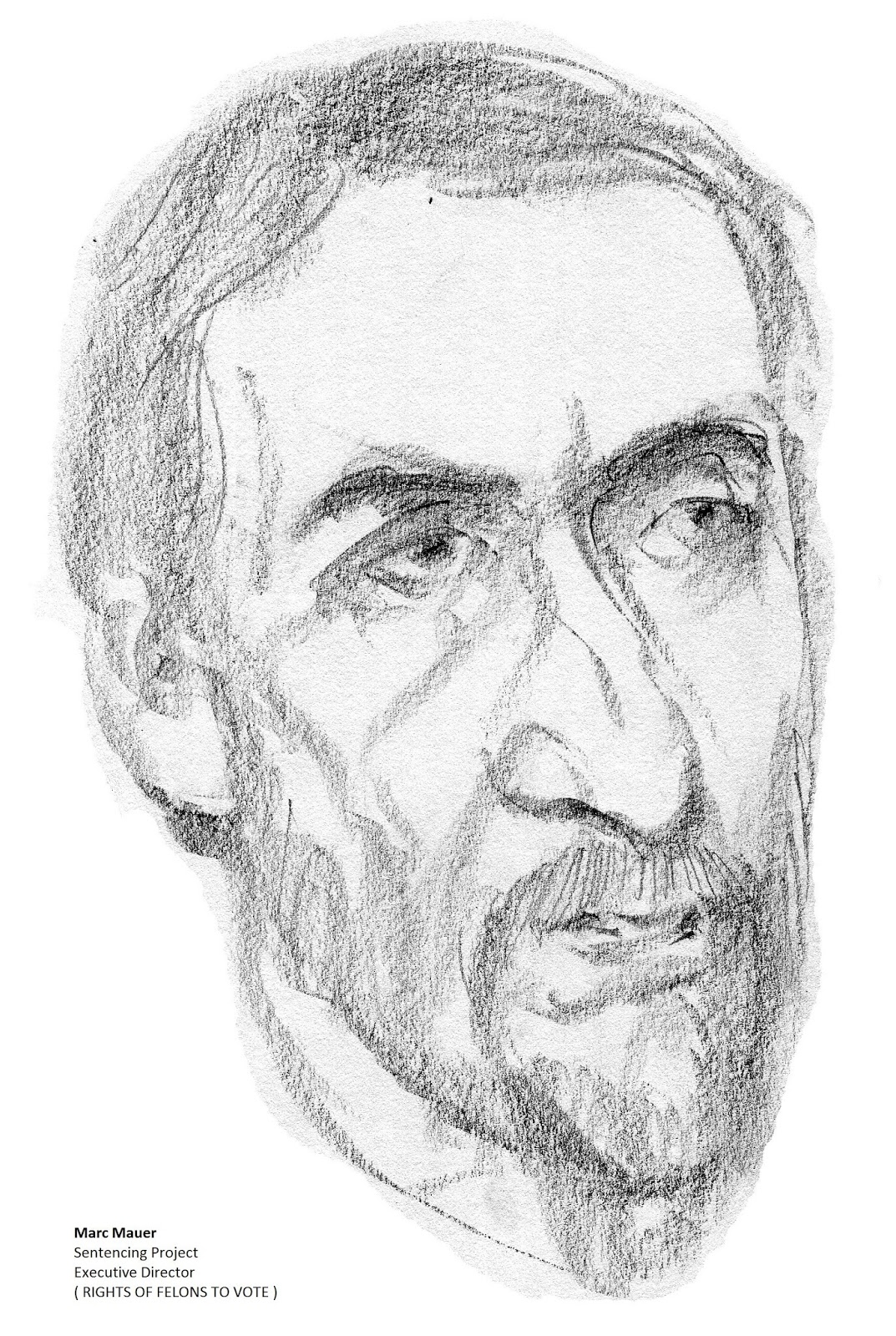 Daily Drawings Marc Mauer