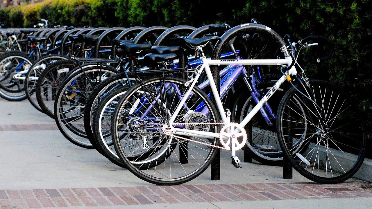 University of California, Davis Bike