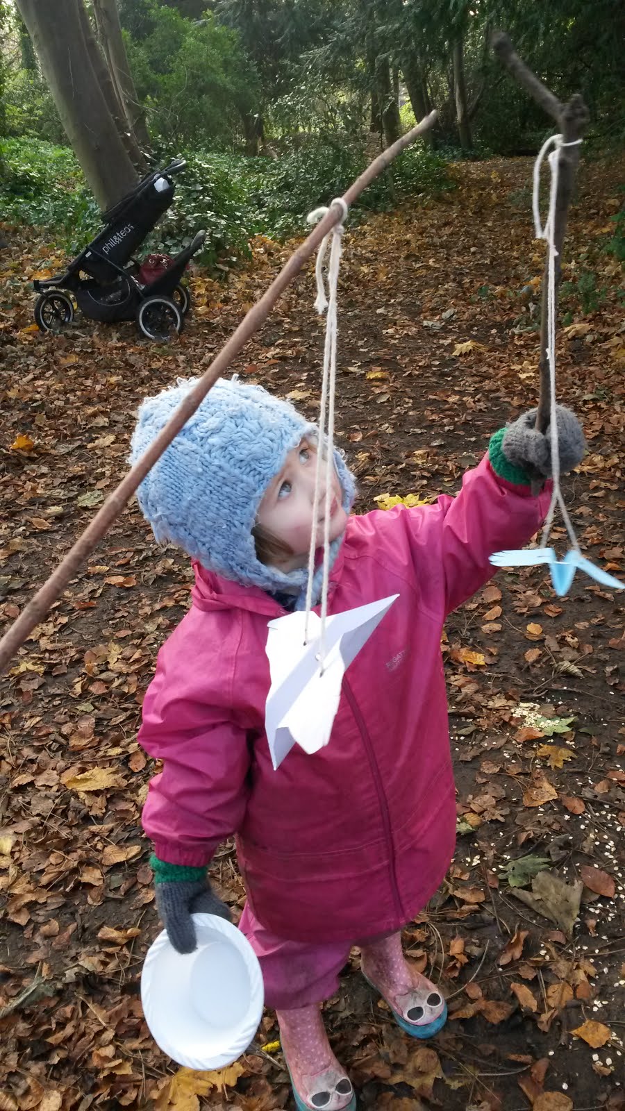 Feeding the Birds