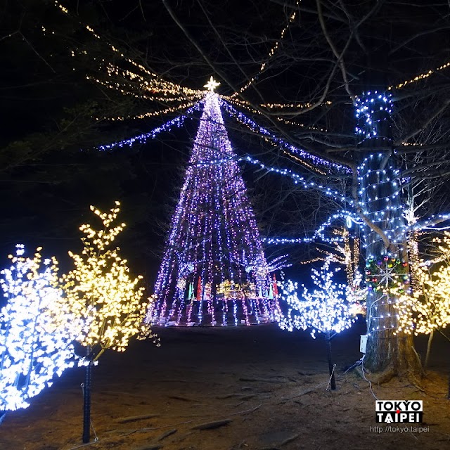 【白色聖誕in輕井澤】冬夜裡閃亮的浪漫　聖誕節前夜宿輕井澤散步必訪