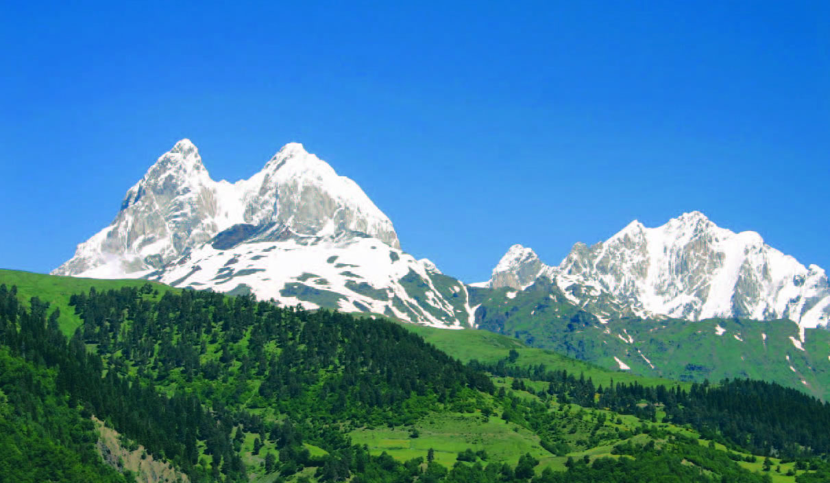 Landscaping In Georgia