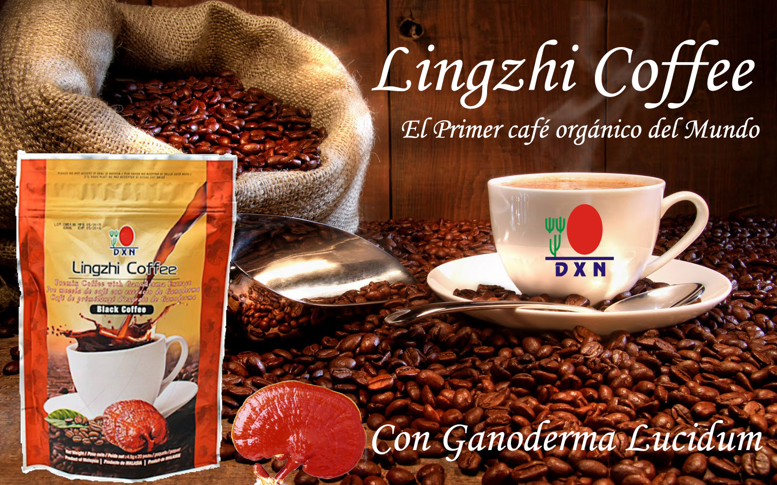 Cafe De Ganoderma Lingzhi Cafe De Ganoderma Lingzhi