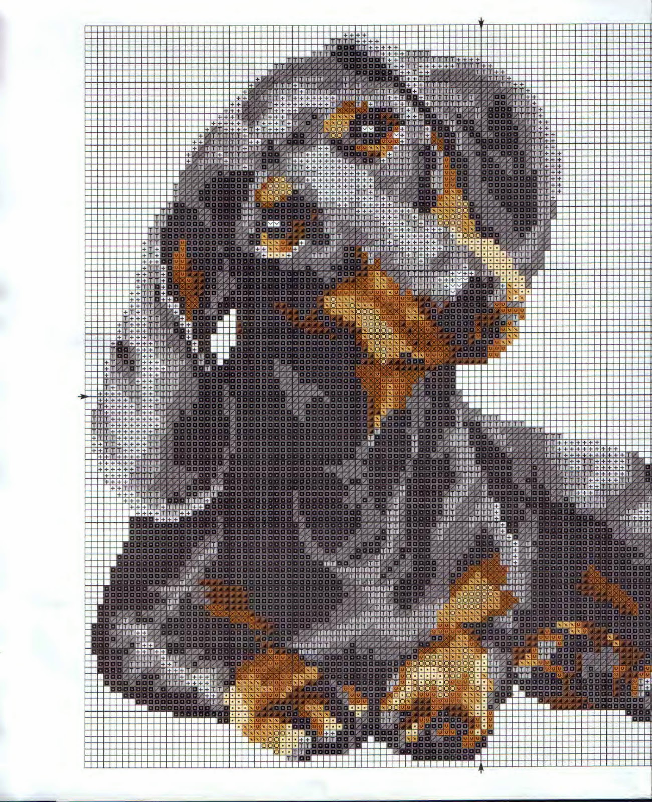 Схема Вышивки Крестом Подушки Риолис Схемы - tubecards