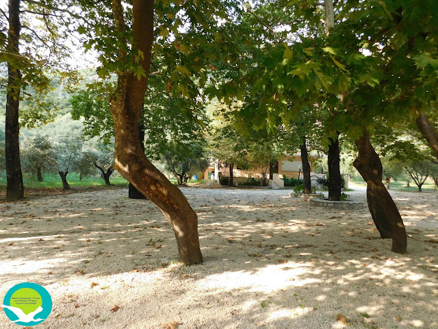 Θεσπρωτία: Δολιοφθορά στο φυσικό πλούτο του Αχέροντα (+ΦΩΤΟ)